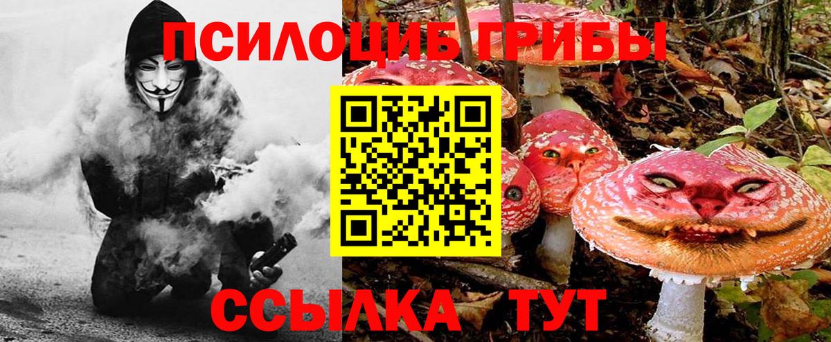 продажа наркотиков  Псилоцибиновые грибы ЛСД  Вход с VPN  Якутск 